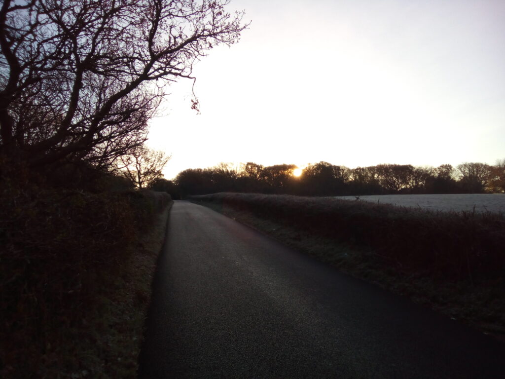 A country road, a little after sunrise, with the sun shining through bare tress on the horizon.