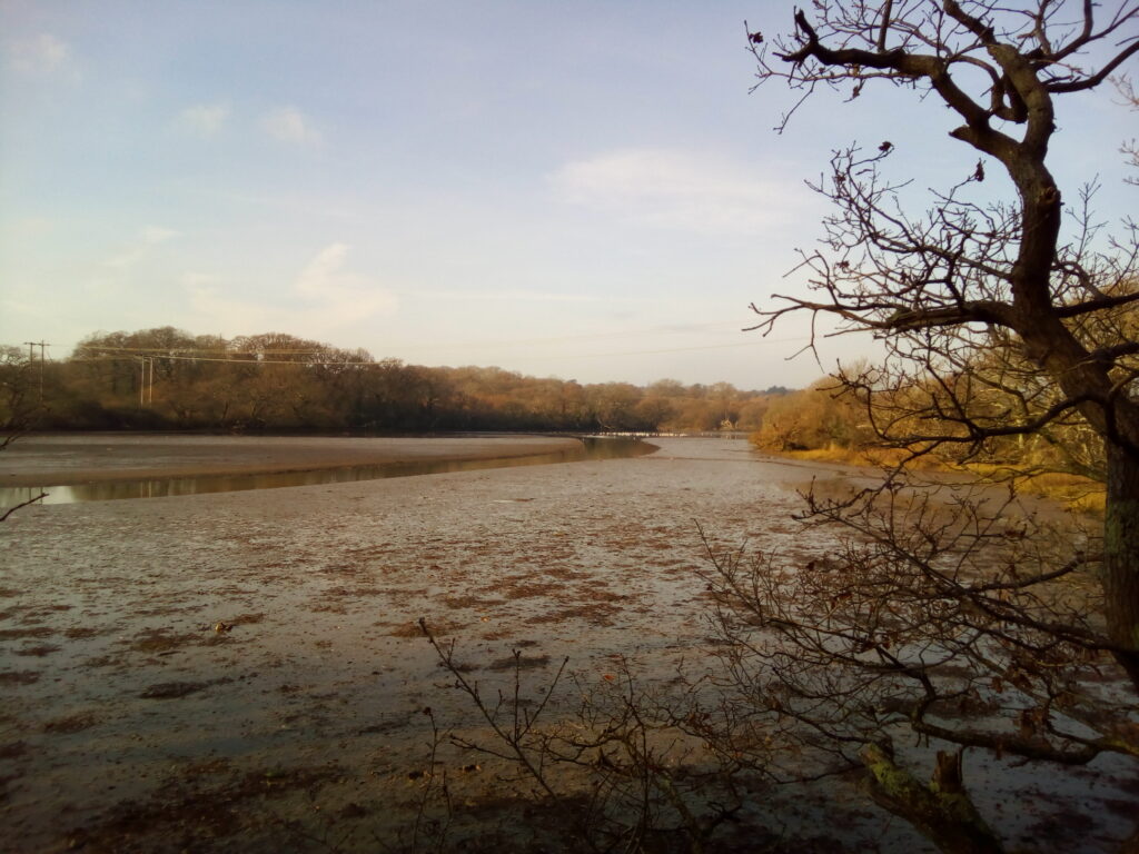 A broad mudflat, with woodland on both banks.