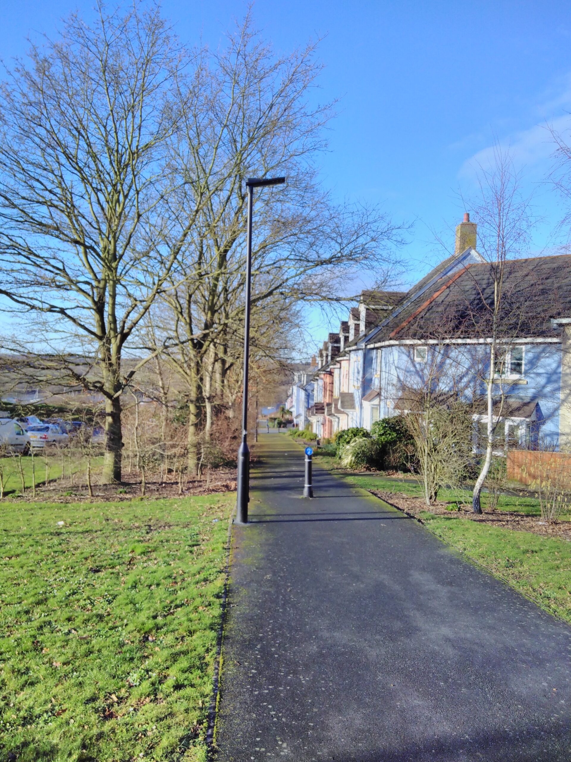 A tarmac path leads down between a row of bare trees and an estate of modern houses.