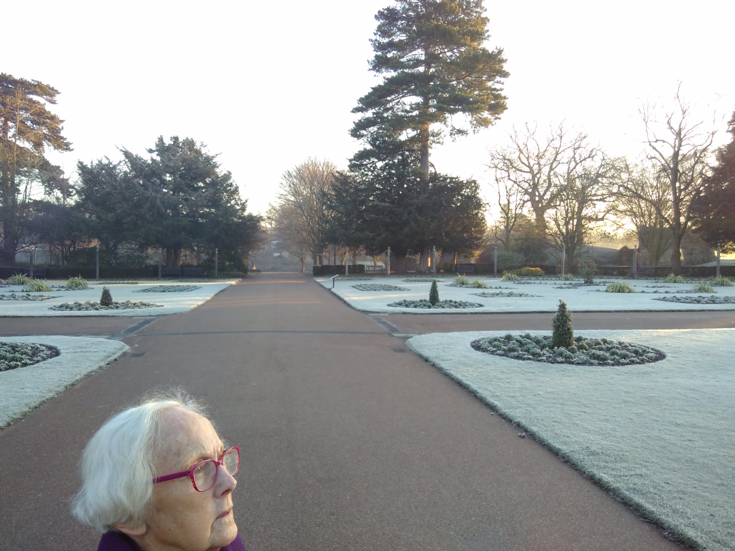 A woman looks into the trees, standing on a path between park frosted park lawns.