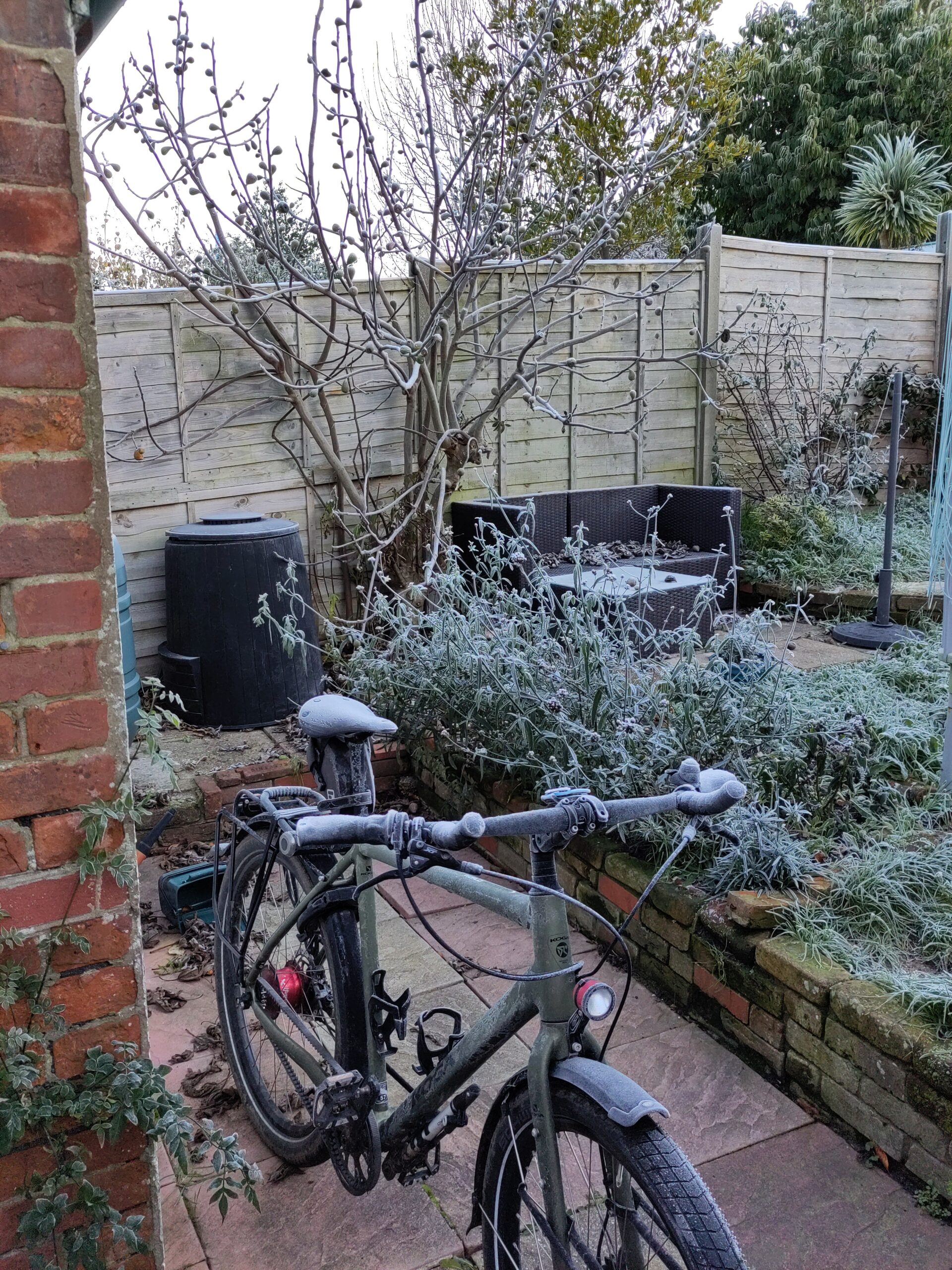 A frosted garden, with a bycicle rimmed with ice, in a suburban garden.