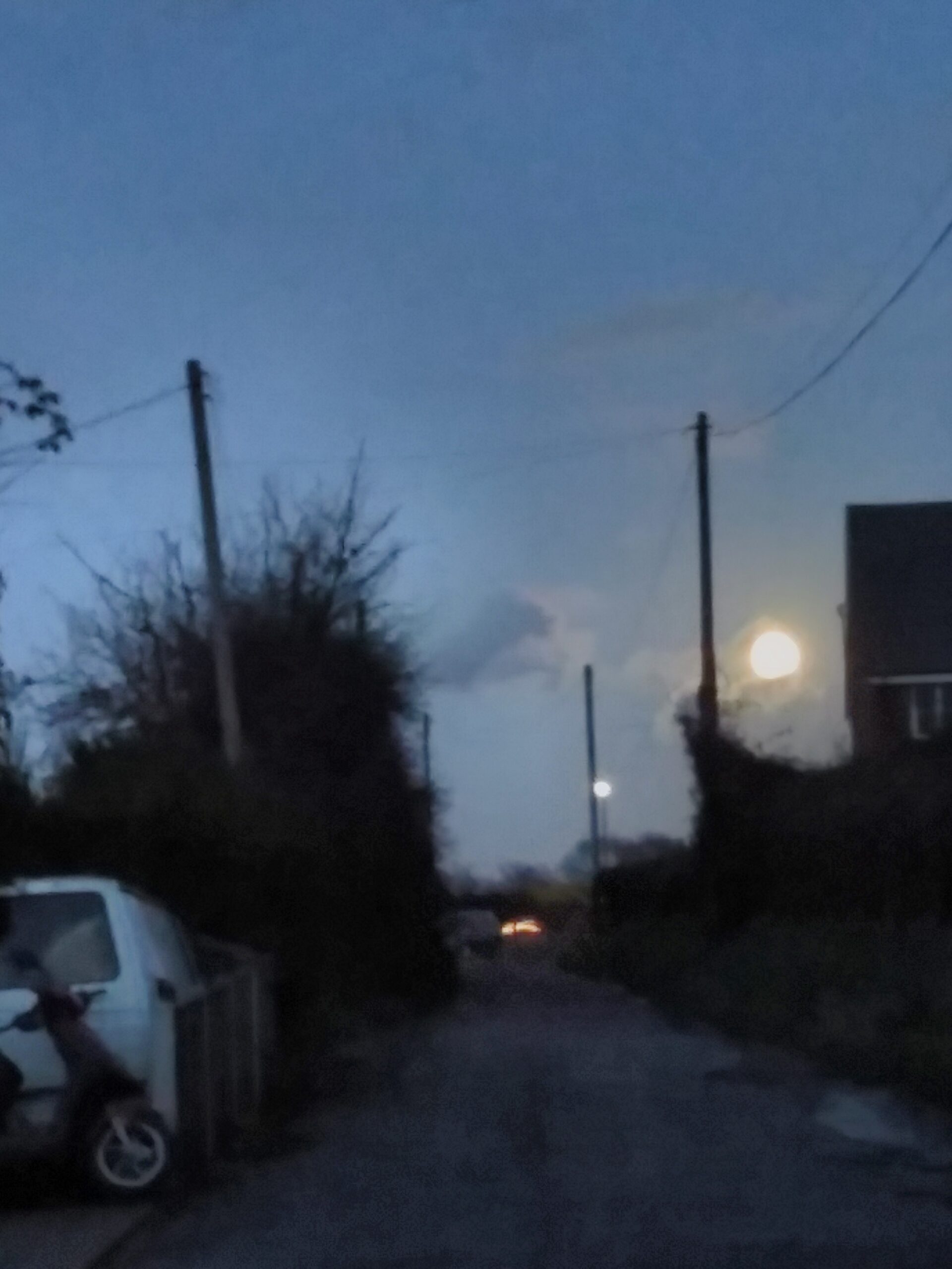 A blurred picture of an alleyway with a scruffy hedge on one side and a wall and telegraph poles on the other. In the dark evening sky beyond is a full moon.