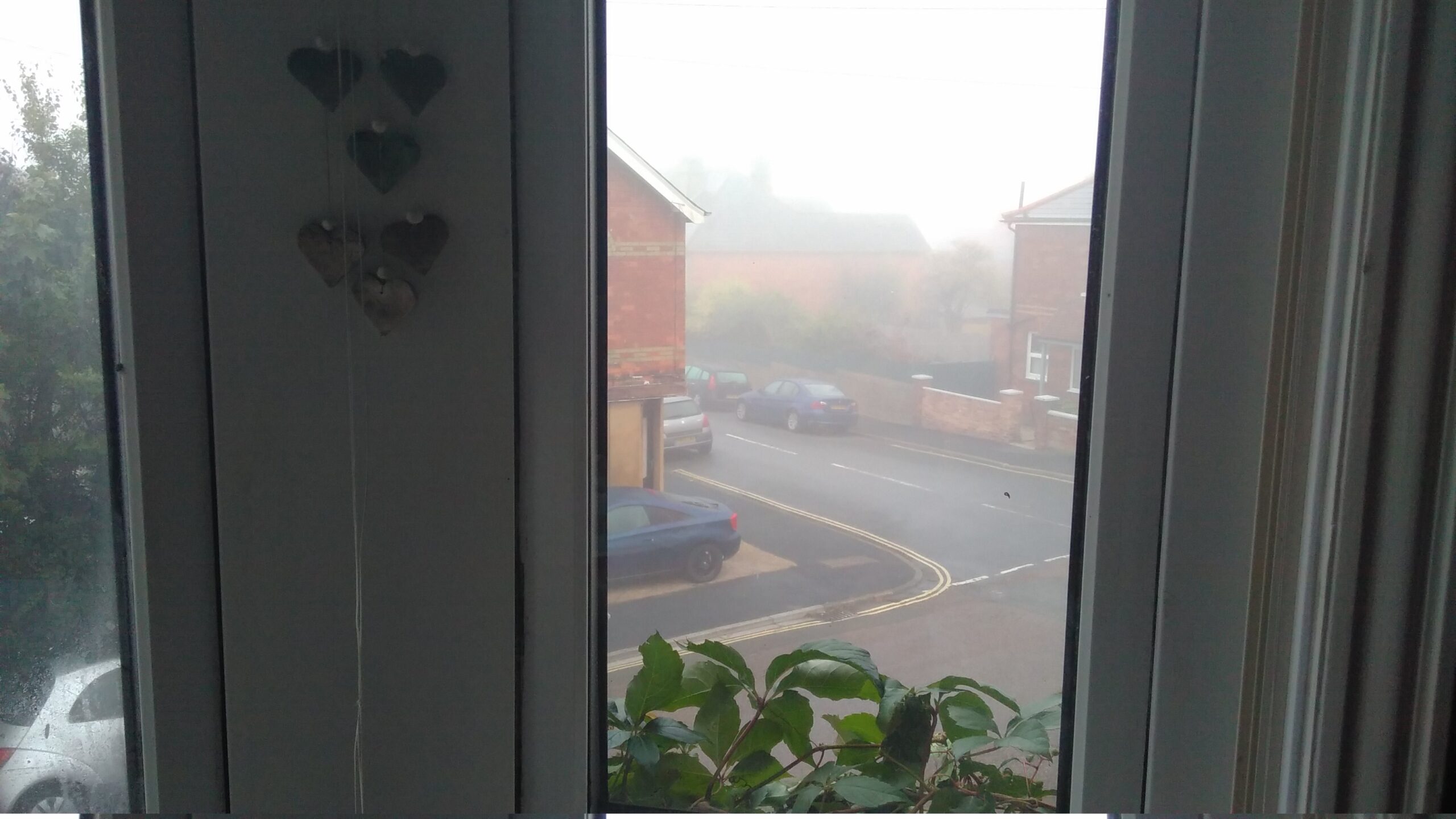 A view through a bay window of an Edwardian suburban street, shrouded in mist.