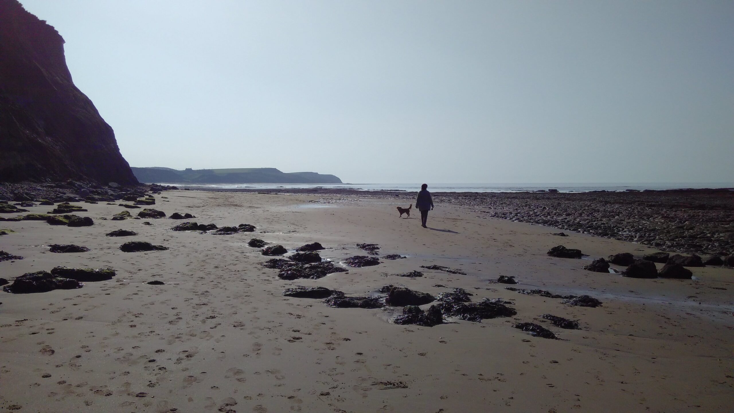 A woman and a dog walk on a broad sandy beach.