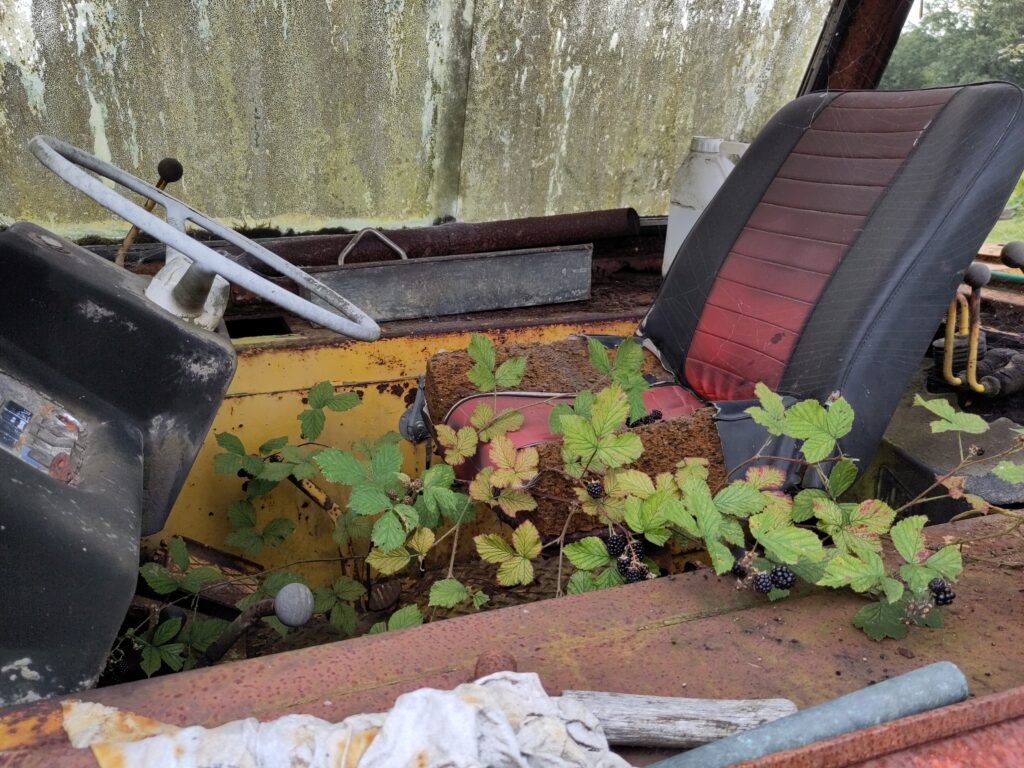 The derelcit cab of a JCB digger. The seat is torn, the controls are rusted and there are brambles growing up from through the floor.