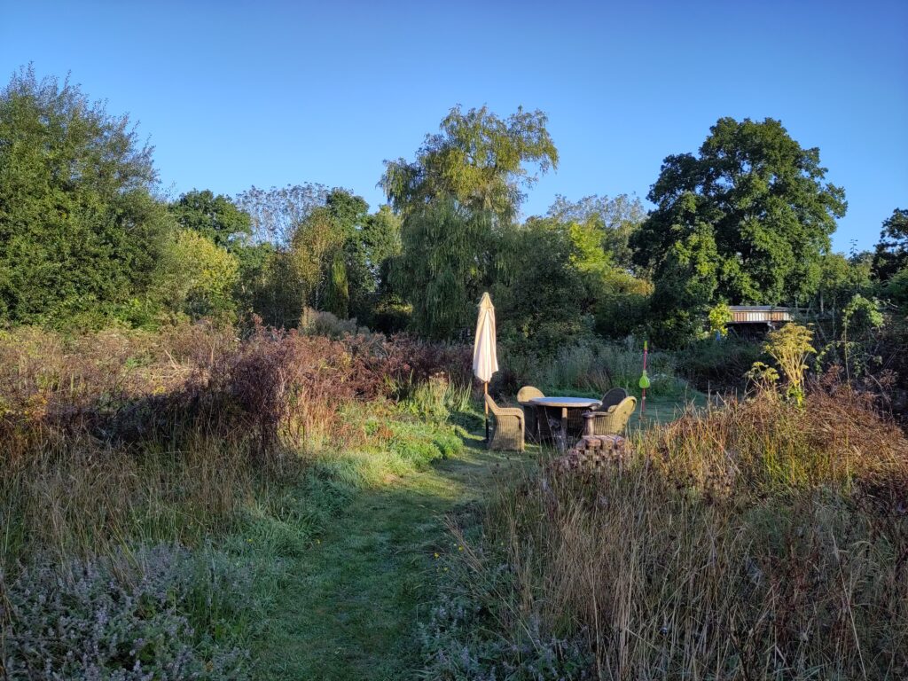 A path mowed through scrub and late summer wildflower leads to a collection of garden furniture. An early evening shadow lies over the foreground: the edge of the scene is framed by brightly lit trees against a deep blue, clear sky.