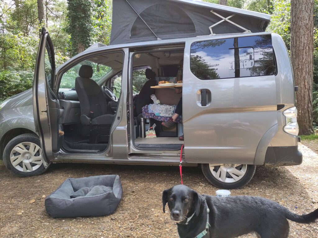 A small camper van, with doors open and picnic laid out on its table inside the door, is parked in a forest car park. In the foreground,a dog is tethered to the van on a long lead and looks into the camera inquisitively.