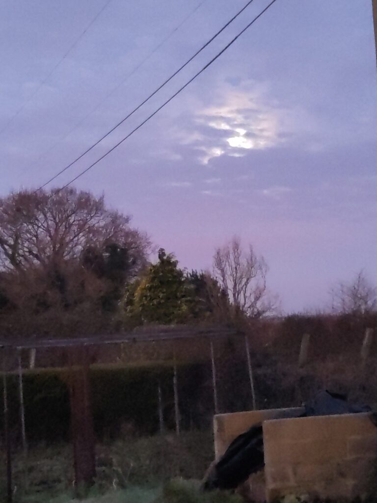 The corner of a garden with a bare fruit cage in purple dawn light, with a full moon brightening broken cloud above it.