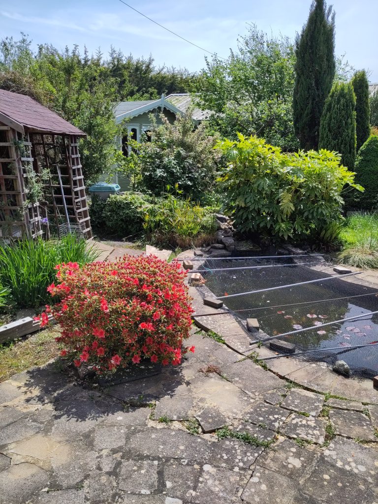 A concrete patio with various plants and a lozenge-shaped pond with mesh suspended over it on sticks.